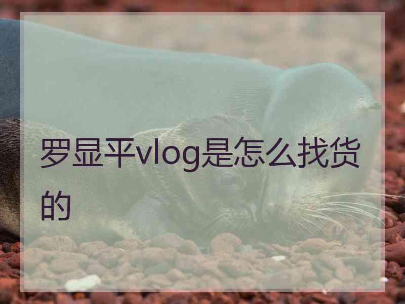 罗显平vlog是怎么找货的