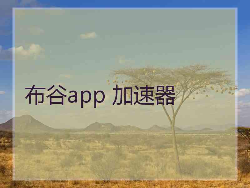 布谷app 加速器