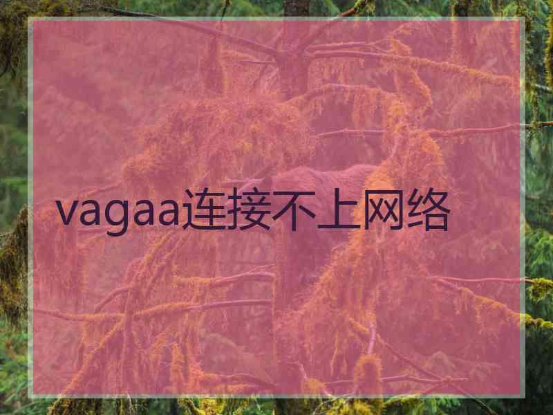 vagaa连接不上网络