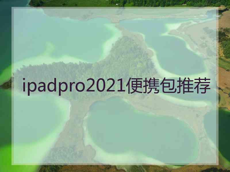 ipadpro2021便携包推荐