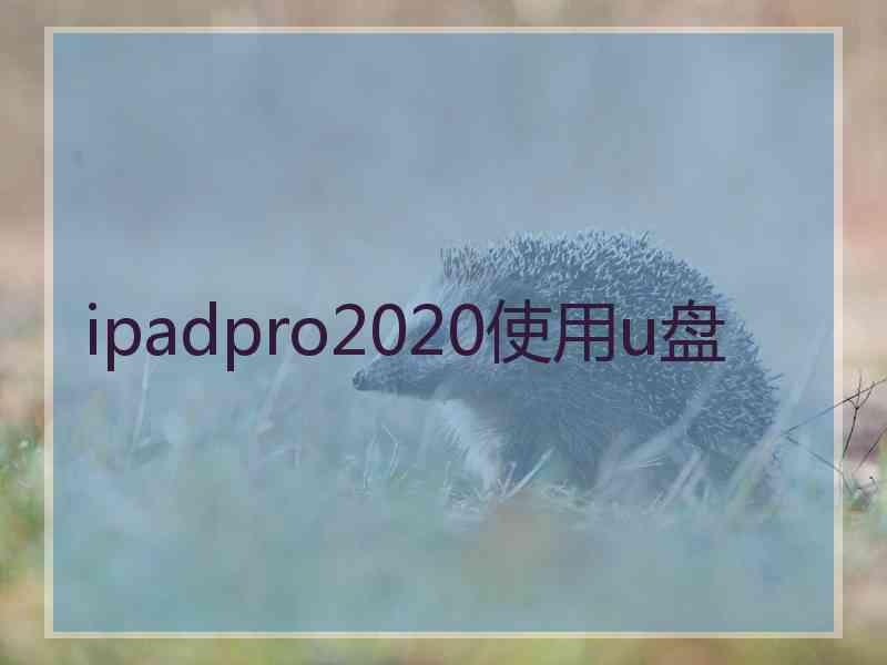 ipadpro2020使用u盘