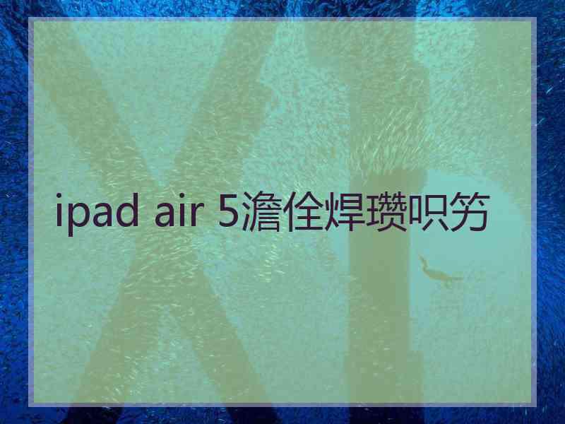 ipad air 5澹佺焊瓒呮竻