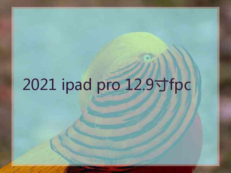 2021 ipad pro 12.9寸fpc