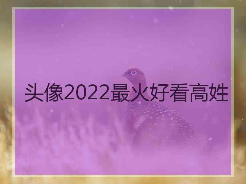 头像2022最火好看高姓