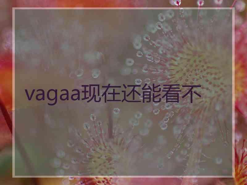 vagaa现在还能看不