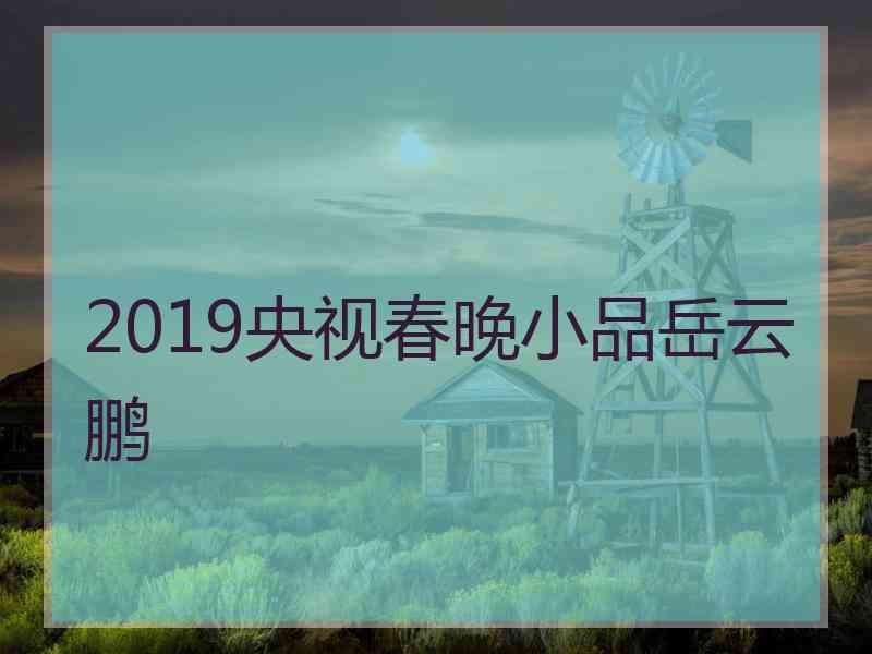 2019央视春晚小品岳云鹏