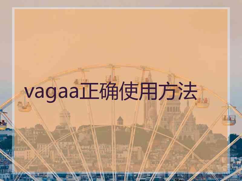 vagaa正确使用方法