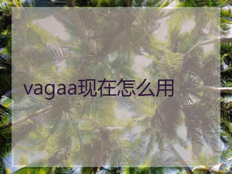 vagaa现在怎么用