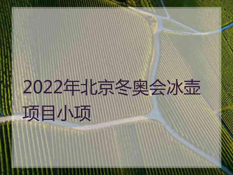 2022年北京冬奥会冰壶项目小项