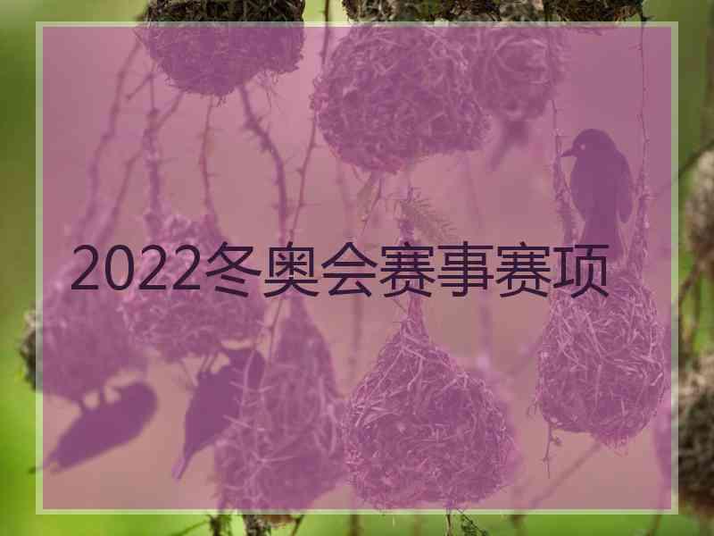 2022冬奥会赛事赛项