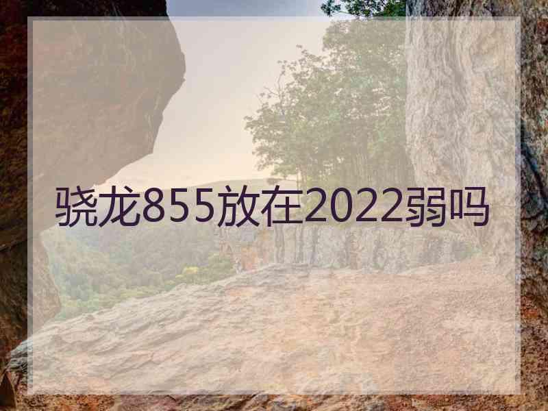 骁龙855放在2022弱吗