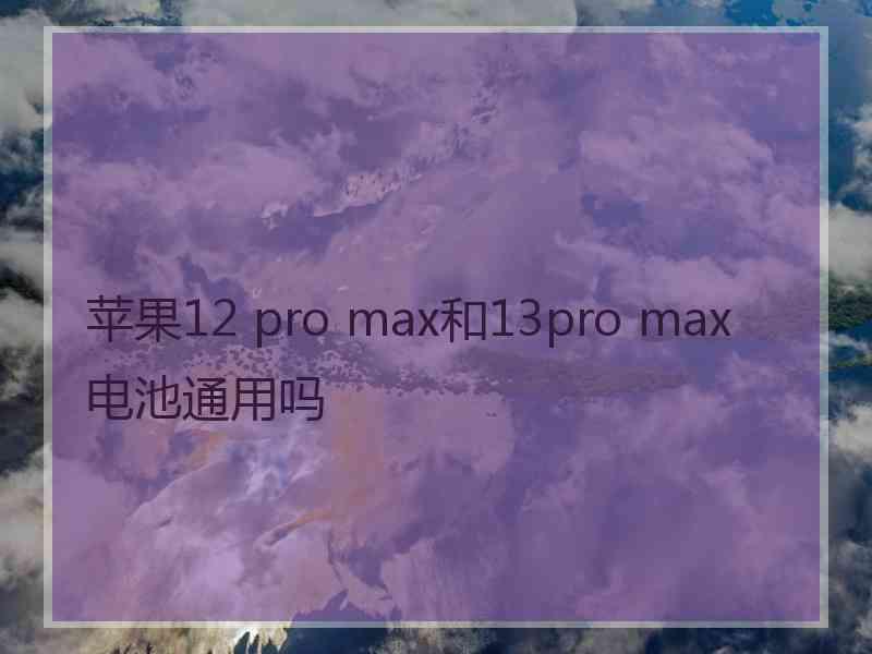 苹果12 pro max和13pro max电池通用吗