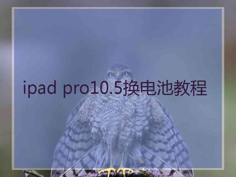 ipad pro10.5换电池教程