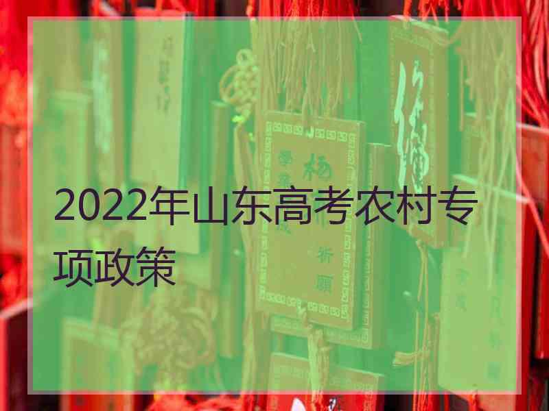 2022年山东高考农村专项政策