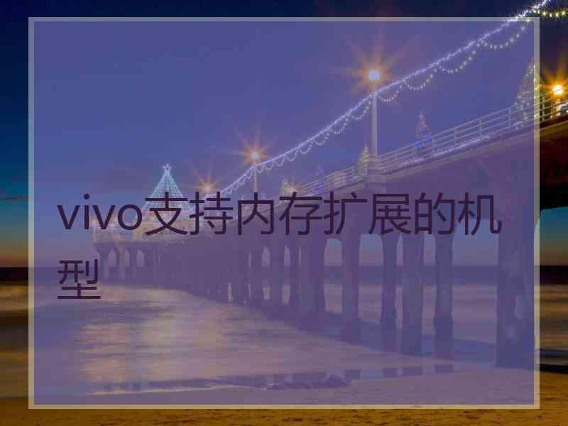 vivo支持内存扩展的机型