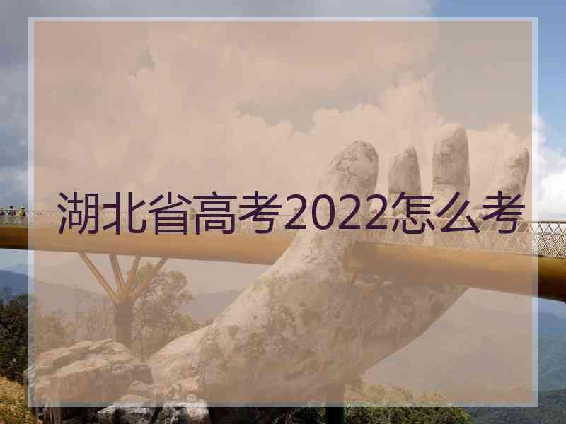 湖北省高考2022怎么考