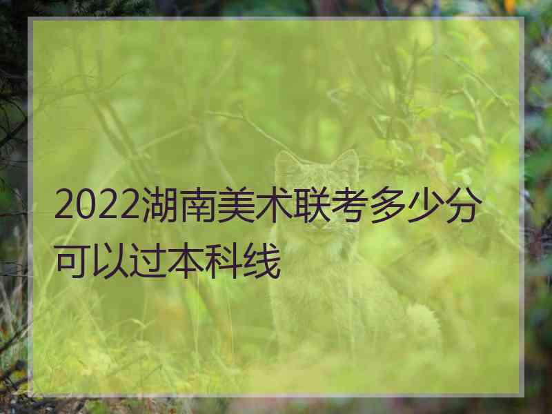 2022湖南美术联考多少分可以过本科线