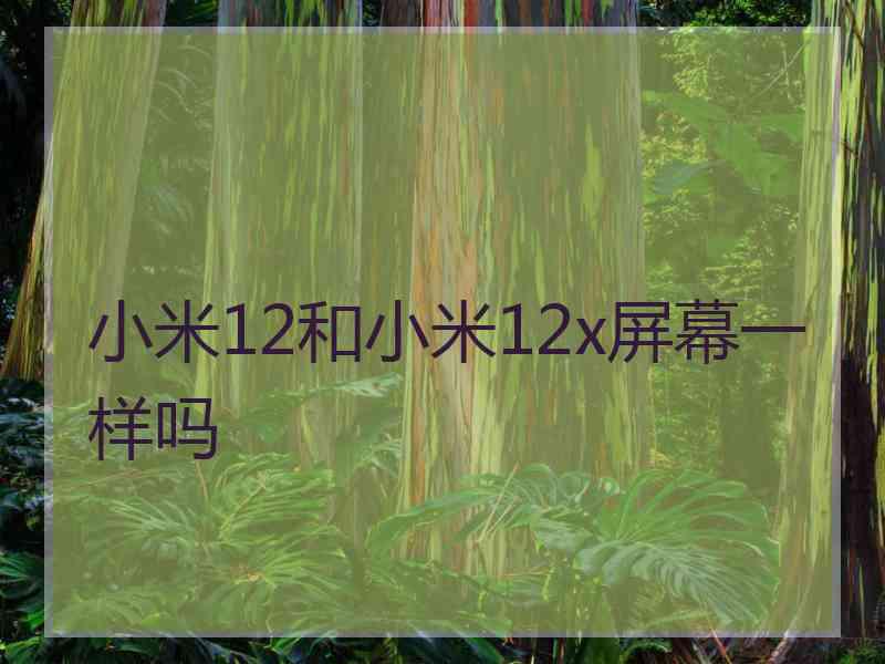 小米12和小米12x屏幕一样吗