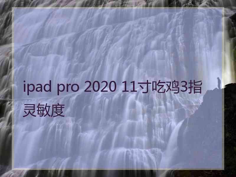 ipad pro 2020 11寸吃鸡3指灵敏度