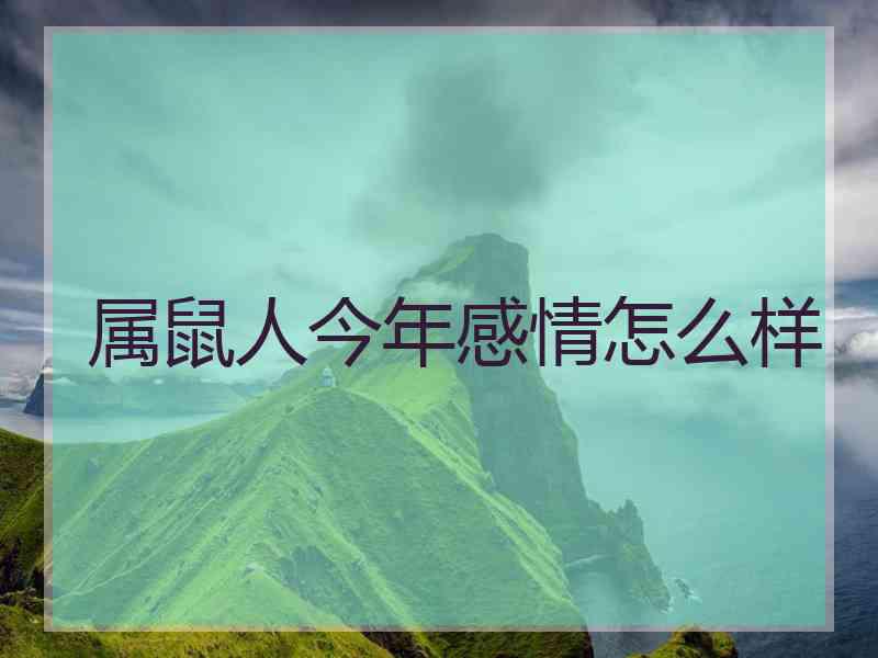 属鼠人今年感情怎么样