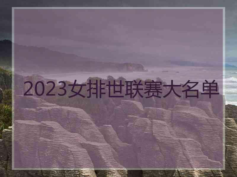 2023女排世联赛大名单