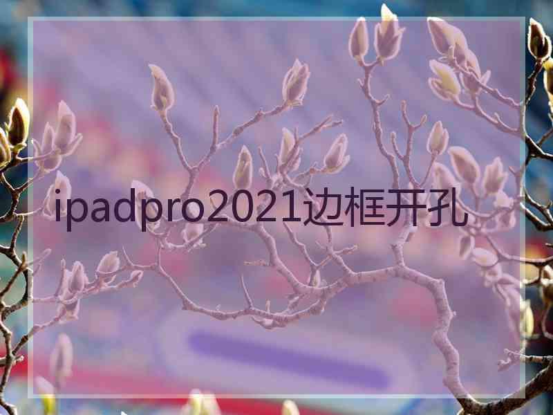 ipadpro2021边框开孔