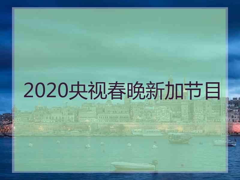 2020央视春晚新加节目