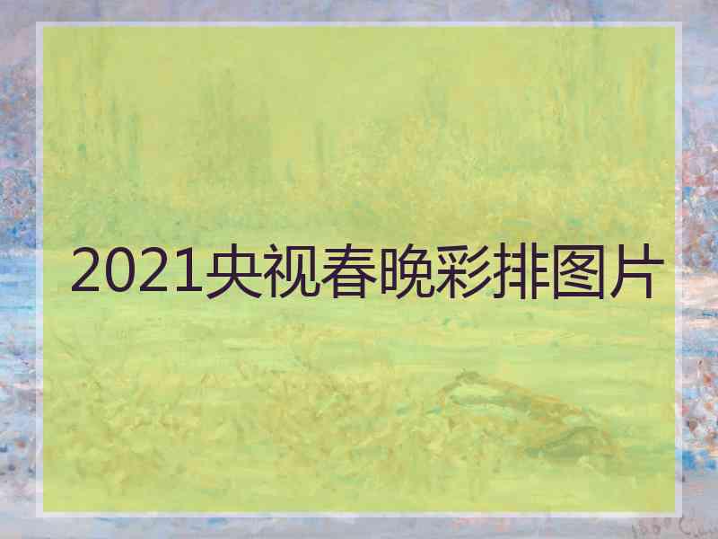 2021央视春晚彩排图片