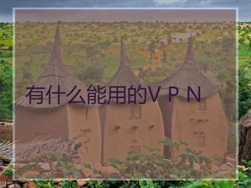 有什么能用的V P N