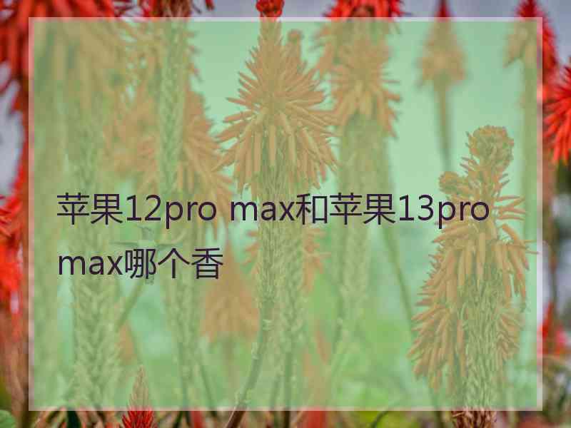 苹果12pro max和苹果13promax哪个香