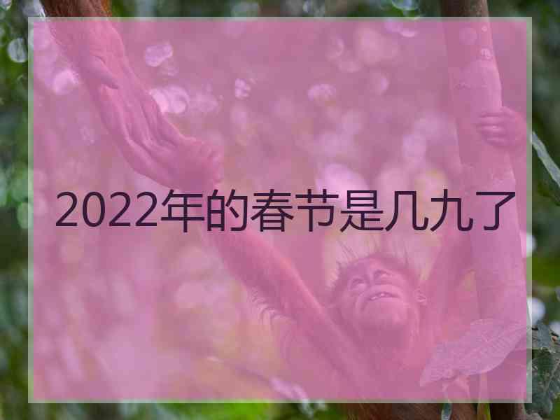 2022年的春节是几九了