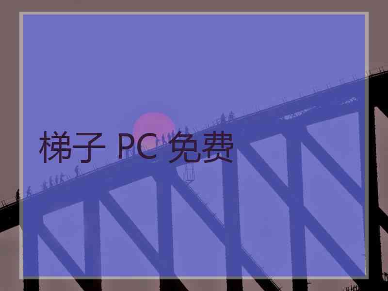 梯子 PC 免费