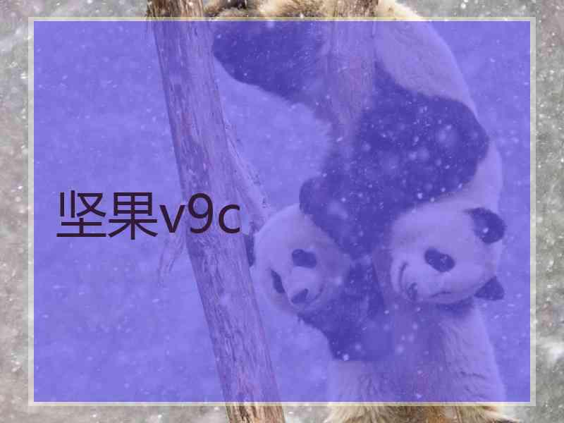 坚果v9c