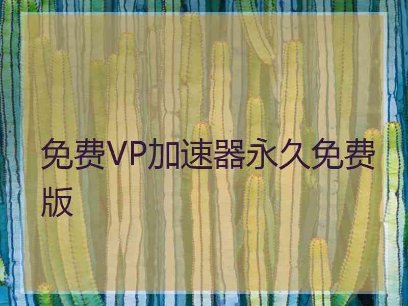 免费VP加速器永久免费版