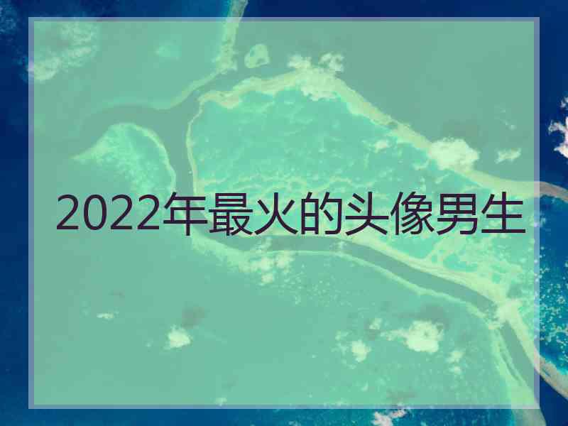 2022年最火的头像男生