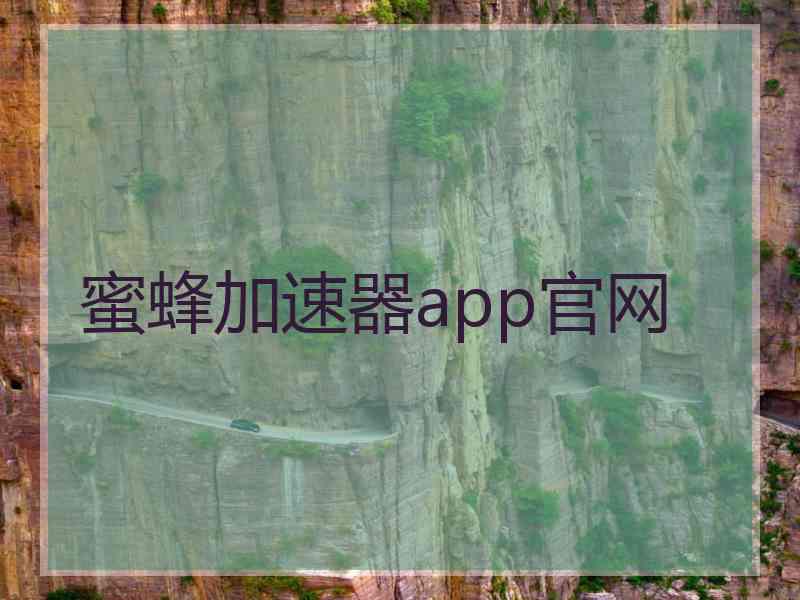 蜜蜂加速器app官网