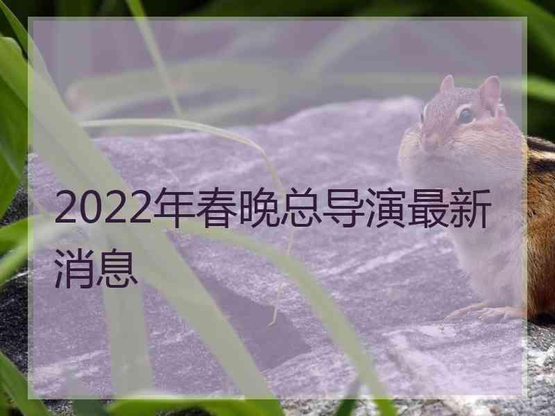 2022年春晚总导演最新消息