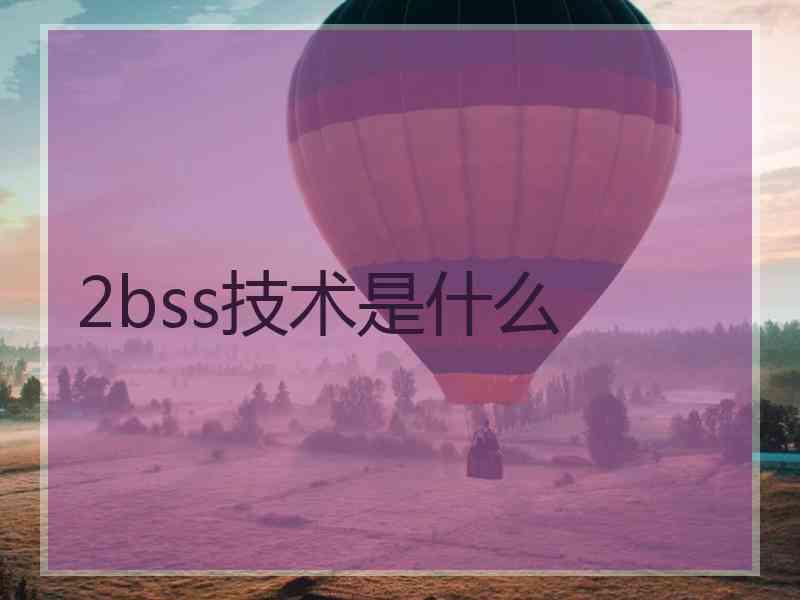 2bss技术是什么