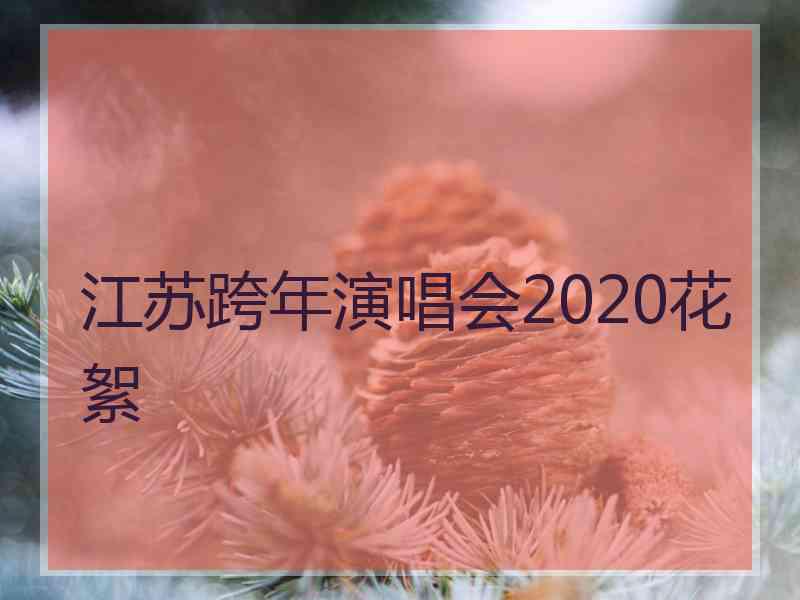 江苏跨年演唱会2020花絮