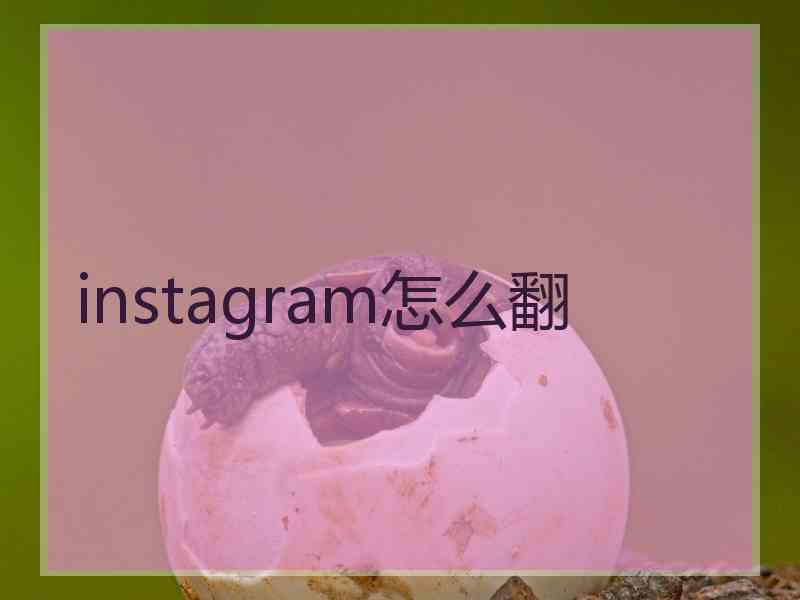 instagram怎么翻