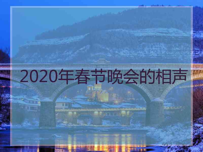 2020年春节晚会的相声