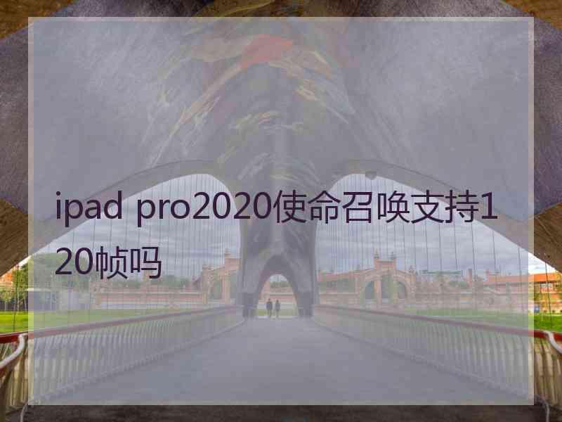 ipad pro2020使命召唤支持120帧吗