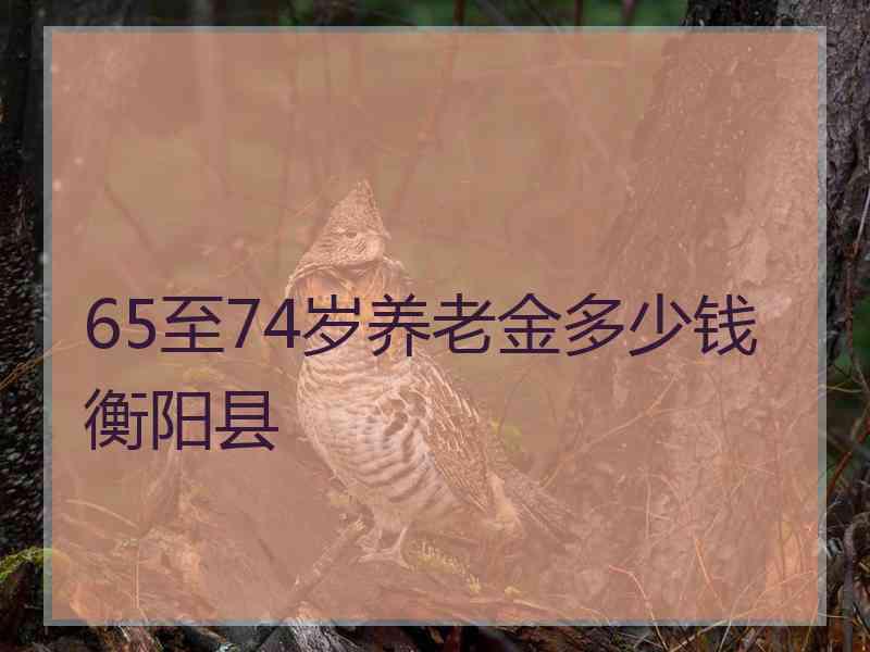 65至74岁养老金多少钱衡阳县