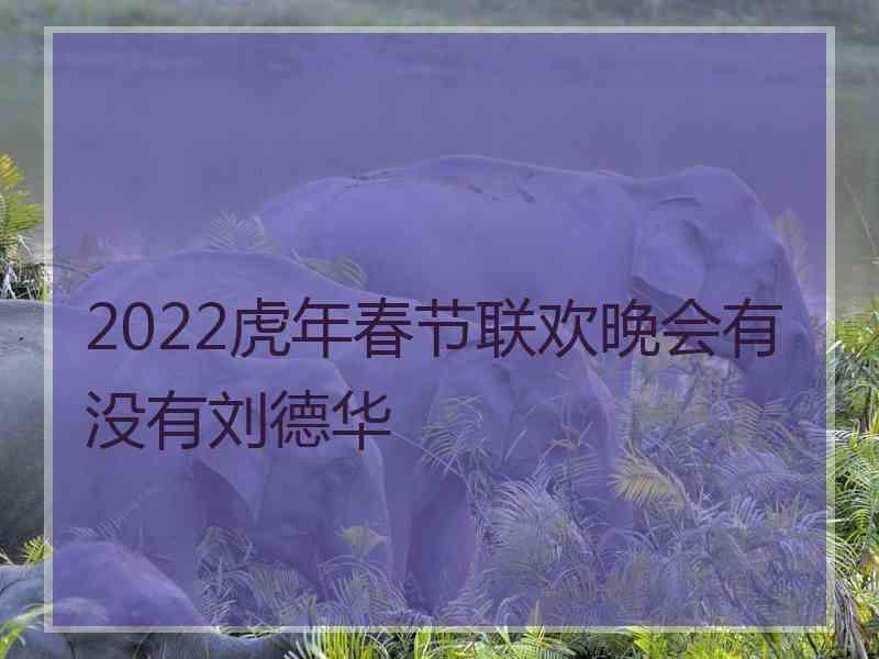 2022虎年春节联欢晚会有没有刘德华