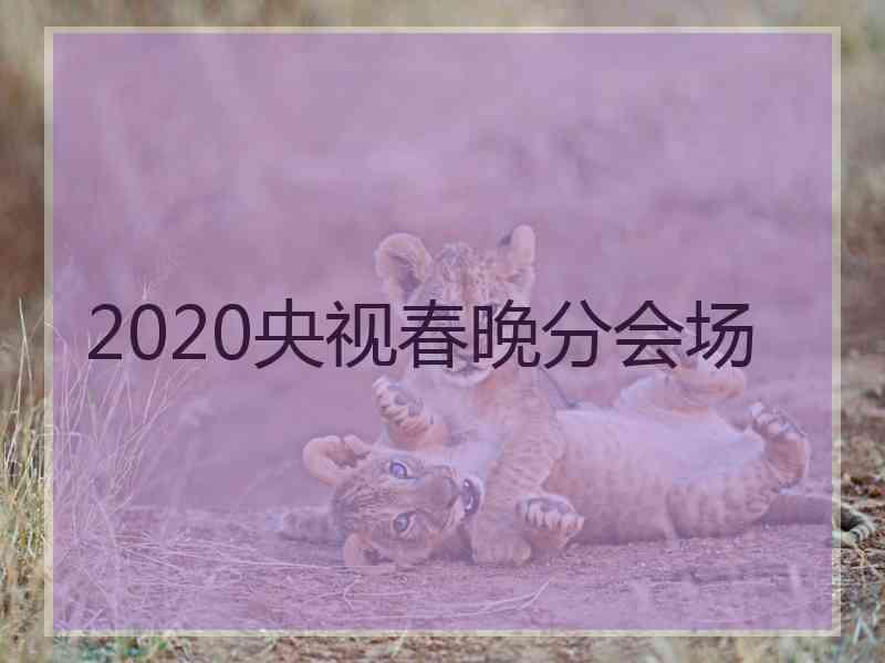 2020央视春晚分会场