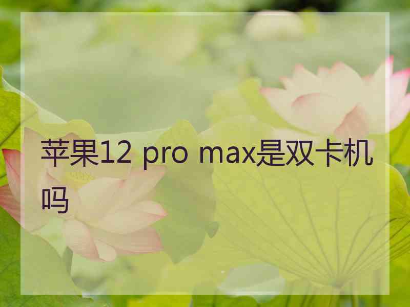 苹果12 pro max是双卡机吗