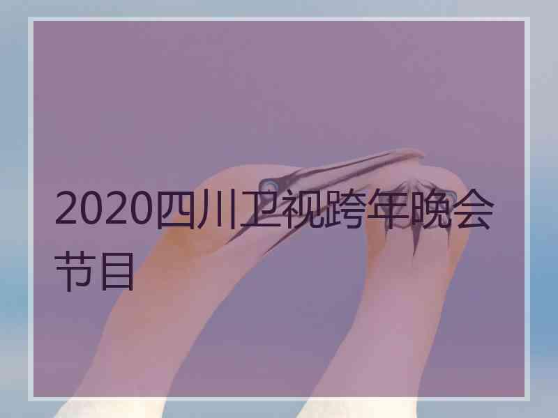 2020四川卫视跨年晚会节目