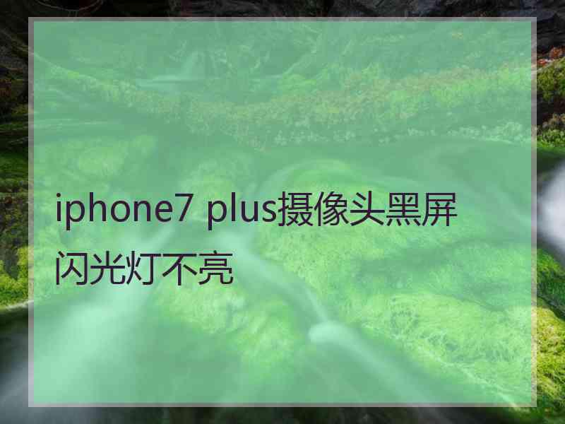 iphone7 plus摄像头黑屏闪光灯不亮