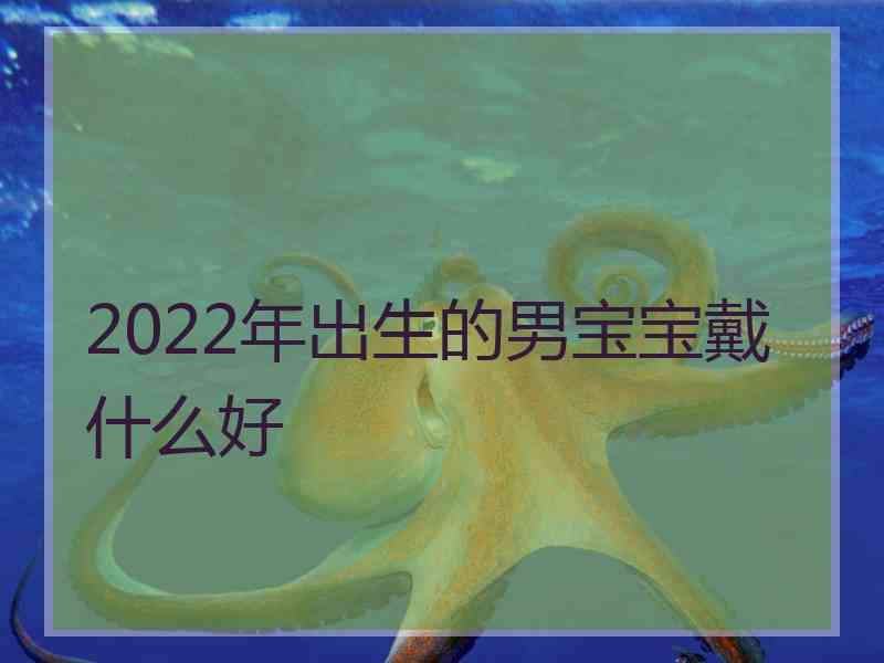 2022年出生的男宝宝戴什么好