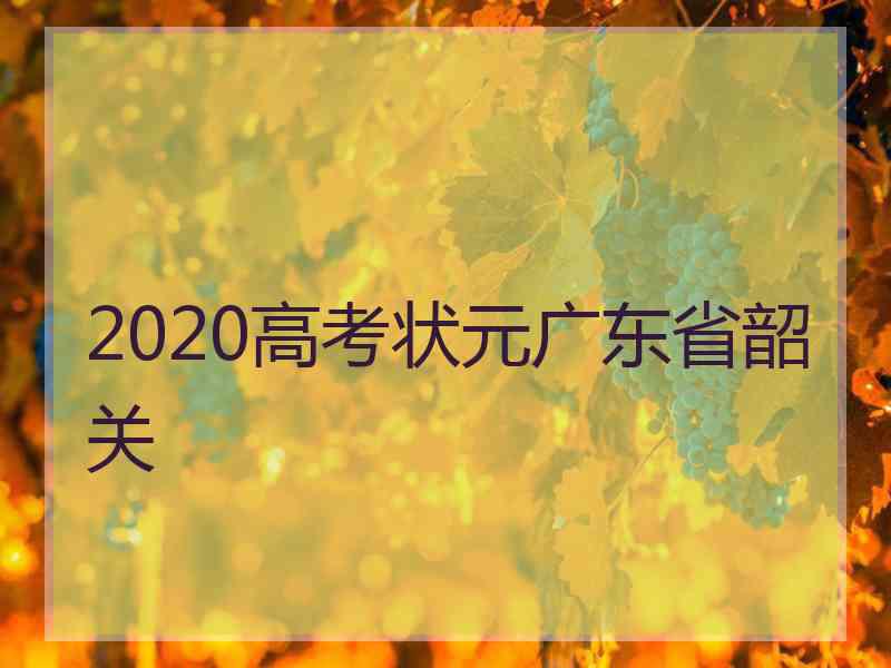 2020高考状元广东省韶关